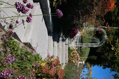 SANTURO Blockstufe voll grau gestrahlt gefast L 80 cm B 36 cm H 15 cm