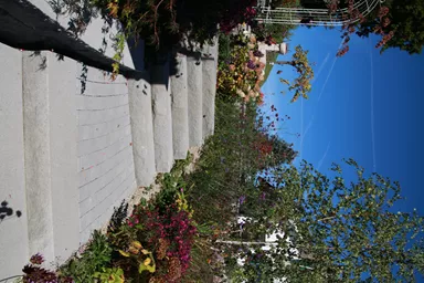 SANTURO Blockstufe voll grau gestrahlt gefast L 80 cm B 36 cm H 15 cm