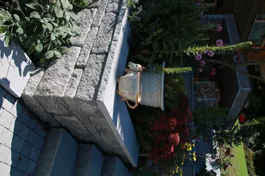 SANTURO Landhausmauer Typ 2 2-seitig gespalten grau Kanten gebrochen L 30-50 cm B 25 cm H 15 cm