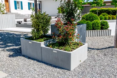 PARCO Pflanzentrog quadratisch grau glatt L 100 cm B 100 cm H 50 cm W 5 cm