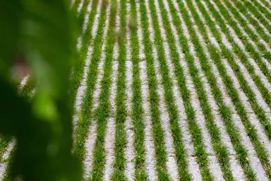 RAINA Rasenliner mit Verschiebesicherung grau glatt L 60 cm B 40 cm H 10 cm