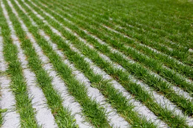 RAINA Rasenliner mit Verschiebesicherung grau glatt L 60 cm B 40 cm H 10 cm