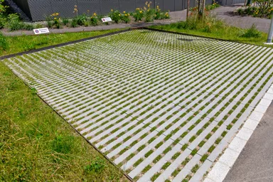 RAINA Rasenliner mit Verschiebesicherung grau glatt L 60 cm B 40 cm H 10 cm