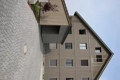 FRIEDA Pflasterstein perlgrau strukturiert Kanten gebr. L 8.8-11.8 cm B 9.8 cm H 7 cm