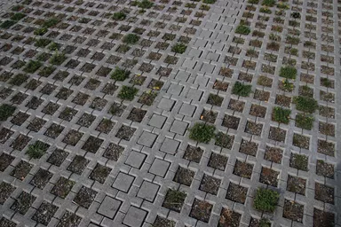 QUADRO Rasengitterstein grau L 58 cm B 47 cm H 10 cm