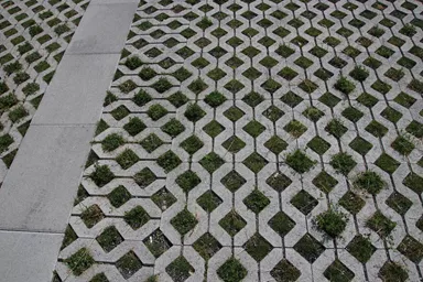 GRISON Rasengitterstein mit Nocken grau glatt L 60.2 cm B 40.2 cm H 8 cm