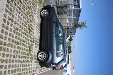 QUADRO Rasengitterstein grau L 58 cm B 47 cm H 10 cm