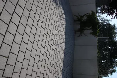 CARENA SPLITT Ökostein mit Nocken grau glatt gefast L 25 cm B 25 cm H 8 cm