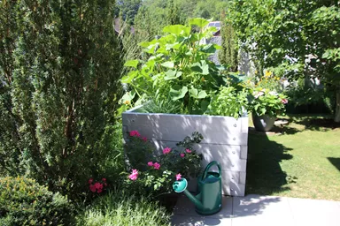 Hochbeet mit Holzstruktur Typ 2 naturgrau strukturiert leicht gefast bewehrt L 234 cm B 120 cm H 75 cm W 6 cm