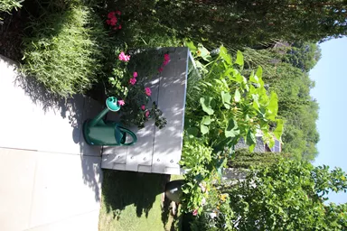 Hochbeet mit Holzstruktur Typ 2 naturgrau strukturiert leicht gefast bewehrt L 234 cm B 120 cm H 75 cm W 6 cm