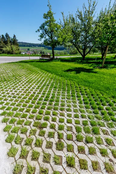 GRISON Rasengitterstein mit Nocken grau glatt L 60.2 cm B 40.2 cm H 8 cm