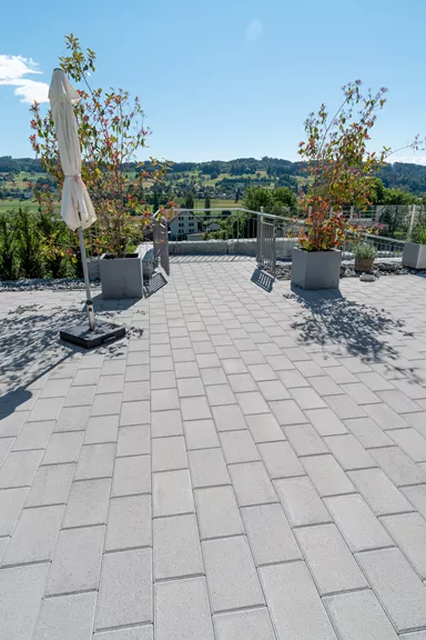 CLASSIC Pflasterstein mit Nocken grau glatt gefast L 30 cm B 20 cm H 6 cm