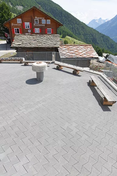 Pavé filtrant FILTROTEC 37.1/24/12 cm chanfreiné, gris