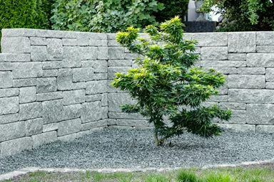 SANTURO Landhausmauer Typ 2 2-seitig gespalten grau Kanten gebrochen L 30-50 cm B 25 cm H 15 cm