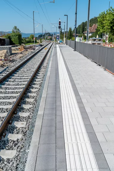 CARENA Pflasterstein mit Nockenverbund grau gewaschen gefast L 25 cm B 25 cm H 6 cm