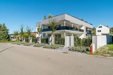 Betonstele bewehrt ohne Motiv grau glatt vollkantig L 50 cm B 6 cm H 250 cm