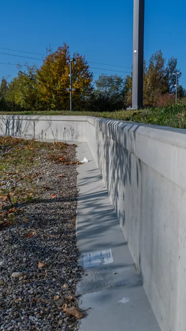 Amphibienleitsystemelement mit Klettersperre und Elementverbund bewehrt gefast grau L 300 cm B 50 cm H 55 cm W 8 cm