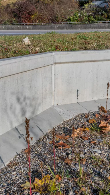 Amphibienleitsystemelement mit Klettersperre und Elementverbund bewehrt gefast grau L 300 cm B 50 cm H 55 cm W 8 cm