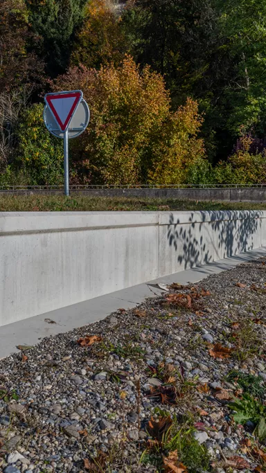 Amphibienleitsystemelement mit Klettersperre und Elementverbund bewehrt gefast grau L 300 cm B 50 cm H 55 cm W 8 cm