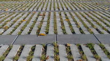 RAINA Rasenliner mit Verschiebesicherung grau glatt L 60 cm B 40 cm H 10 cm