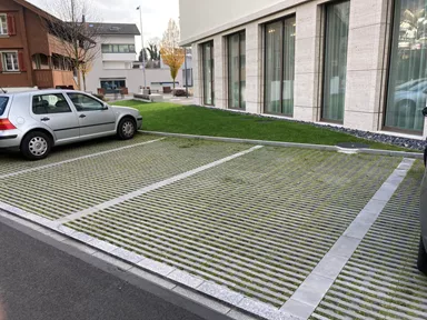 RAINA Rasenliner mit Verschiebesicherung grau glatt L 60 cm B 40 cm H 10 cm