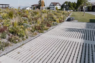 RAINA Rasenliner mit Verschiebesicherung grau glatt L 60 cm B 40 cm H 10 cm