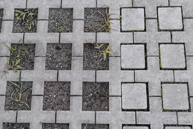 QUADRO Rasengitterstein grau L 58 cm B 47 cm H 10 cm