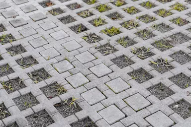 QUADRO Rasengitterstein grau L 58 cm B 47 cm H 10 cm