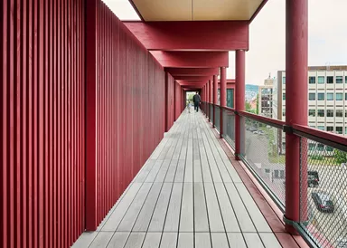 BOSCUS Betonbrett mit einseitiger Holzstruktur grau strukturiert gerundet L 166.5 cm B 14.3 cm H 4 cm