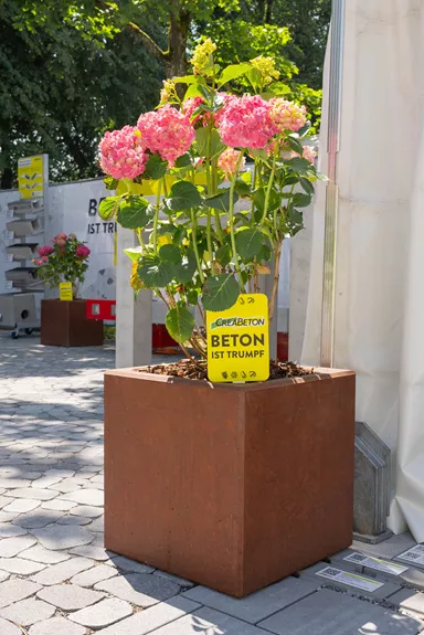 FERRO CONCRETE Pflanzentrog quadratisch Rost glatt L 50 cm B 50 cm H 50 cm W 5 cm