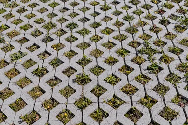 GRISON Rasengitterstein mit Nocken grau glatt L 60.2 cm B 40.2 cm H 8 cm