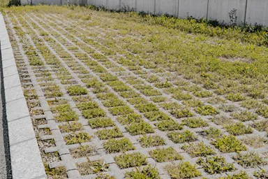 QUADRO Rasengitterstein grau L 58 cm B 47 cm H 10 cm