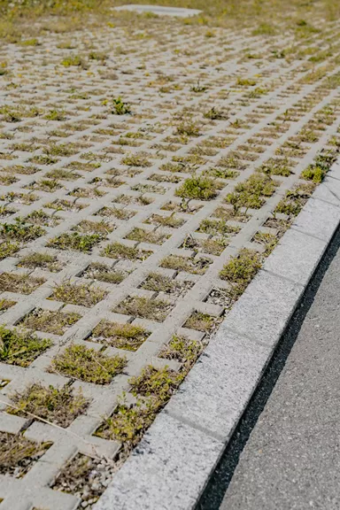 QUADRO Rasengitterstein grau L 58 cm B 47 cm H 10 cm