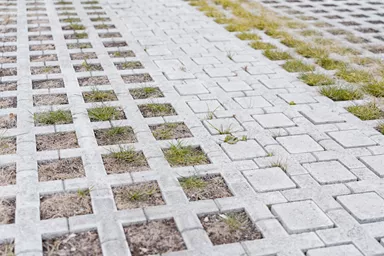 QUADRO Rasengitterstein grau L 58 cm B 47 cm H 10 cm