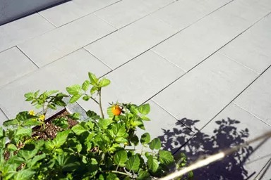 ALENA PLUS Gartenplatte graphitgrau gestrahlt gefast versiegelt L 80 cm B 40 cm H 4 cm