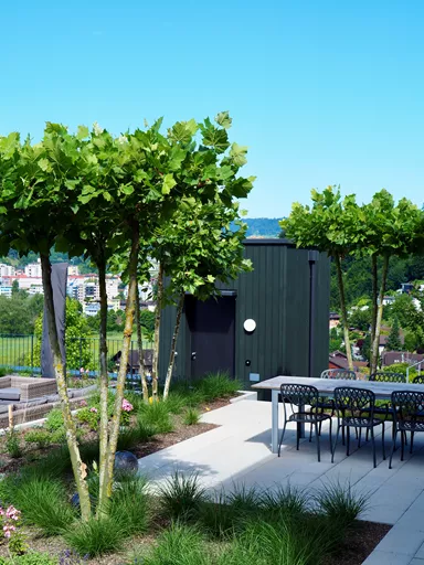 FINALGO Vakuum Gehwegplatte grau gestrahlt gefast L 60 cm B 30 cm H 4 cm