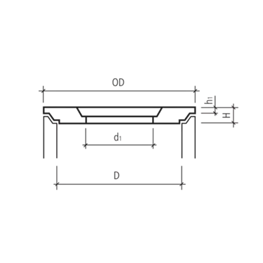 Betondeckel mit Kontrollöffnung befahrbar