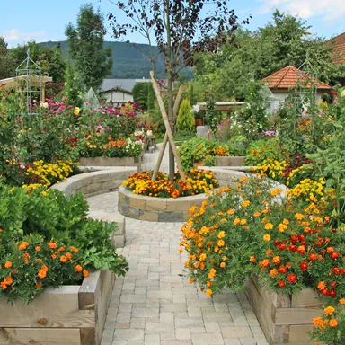 TEGULA<sup>®</sup> Pflastersteine Kanten gebrochen