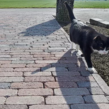 RIEMO<sup>®</sup> Pflastersteine