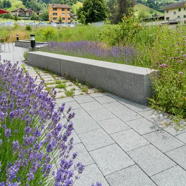 CARENA<sup>®</sup> Sickersteine fino gefast