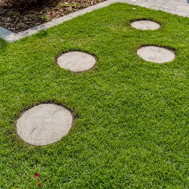 LENIA Gartenplatten mit Holzstruktur