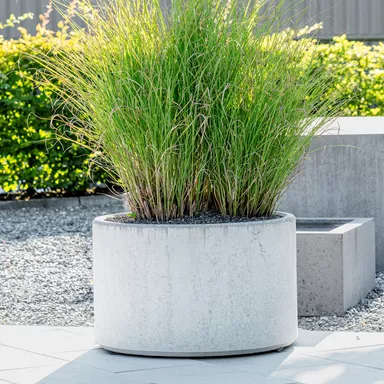 PARCO<sup>®</sup> Pflanzentröge rund