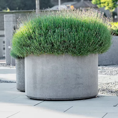 PARCO<sup>®</sup> Pflanzentröge rund