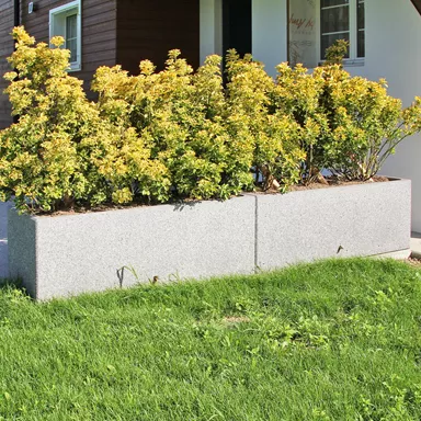 RESIDENZA<sup>®</sup> Pflanzentröge rechteckig