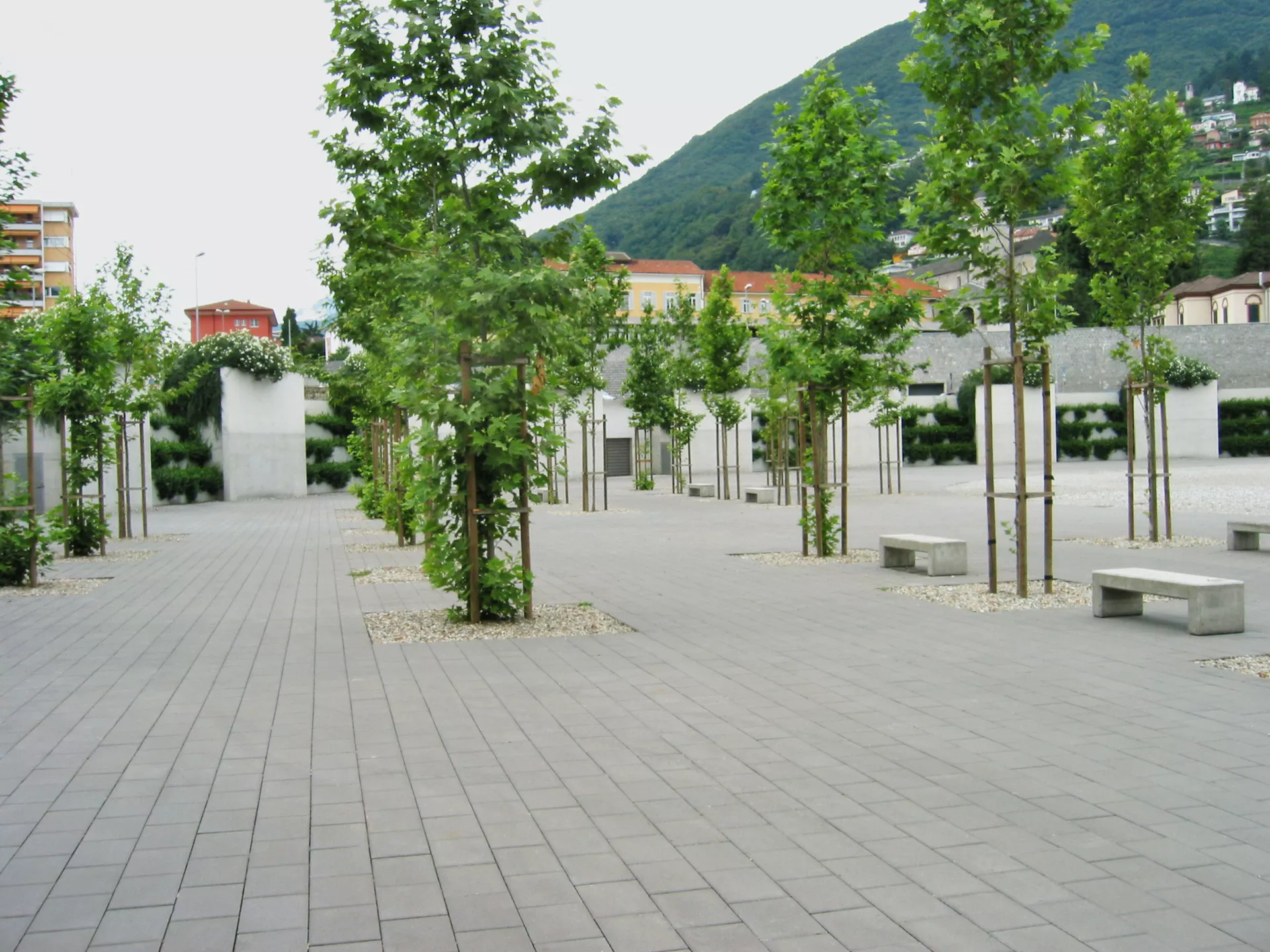 CARENA Pflasterstein mit Nockenverbund grau glatt gefast L 25 cm B 25 cm H 8 cm