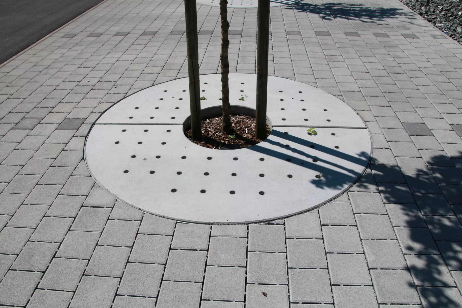 TREETUB Betondeckel 2-teilig mit Stammöffnung zentrisch D 220 cm H 12 cm