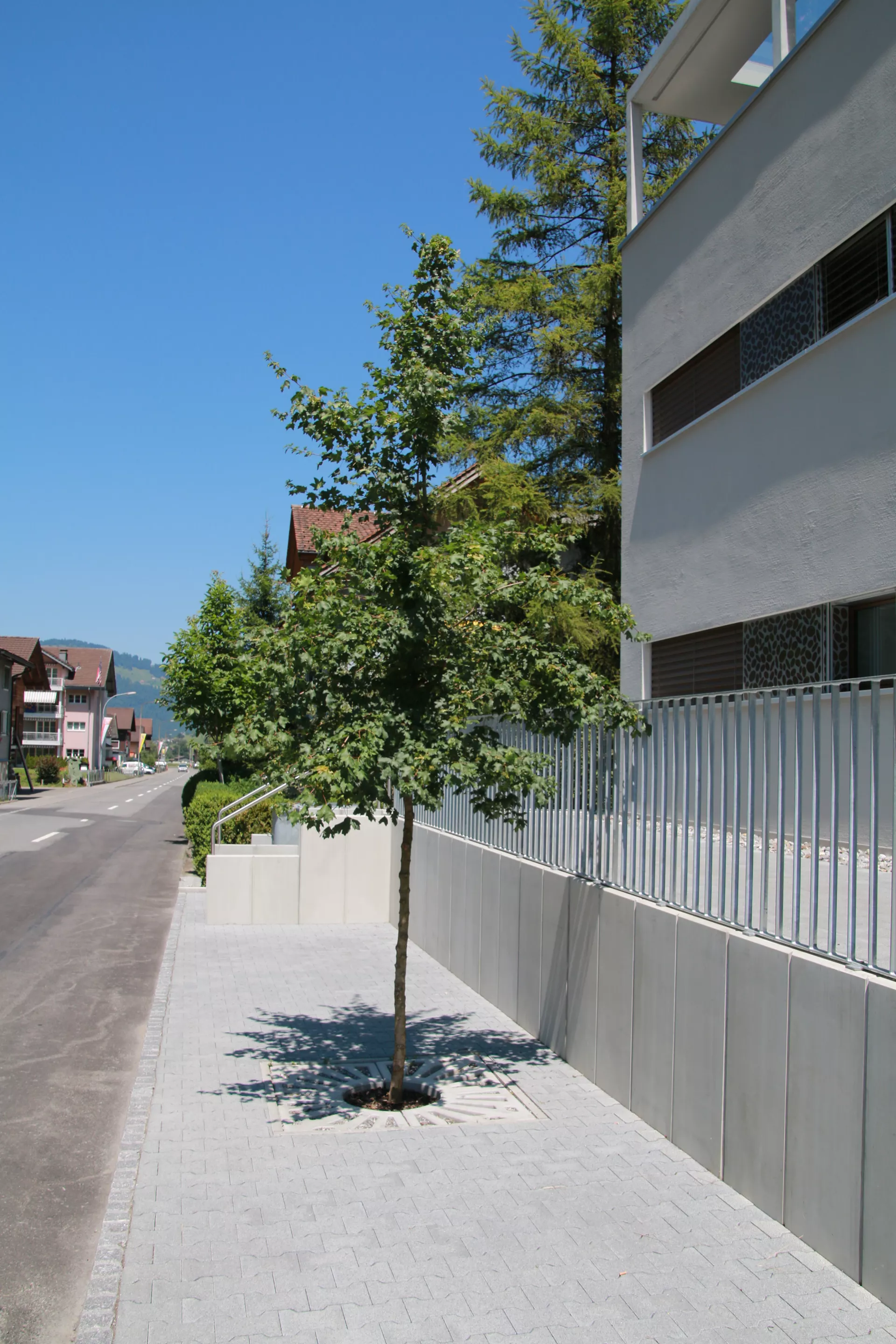 COMO Baumscheibe grau glatt gefast bewehrt geschlitzt mit Aussparung R 28 cm L 62.5 cm B 62.5 cm H 8 cm BK A 15