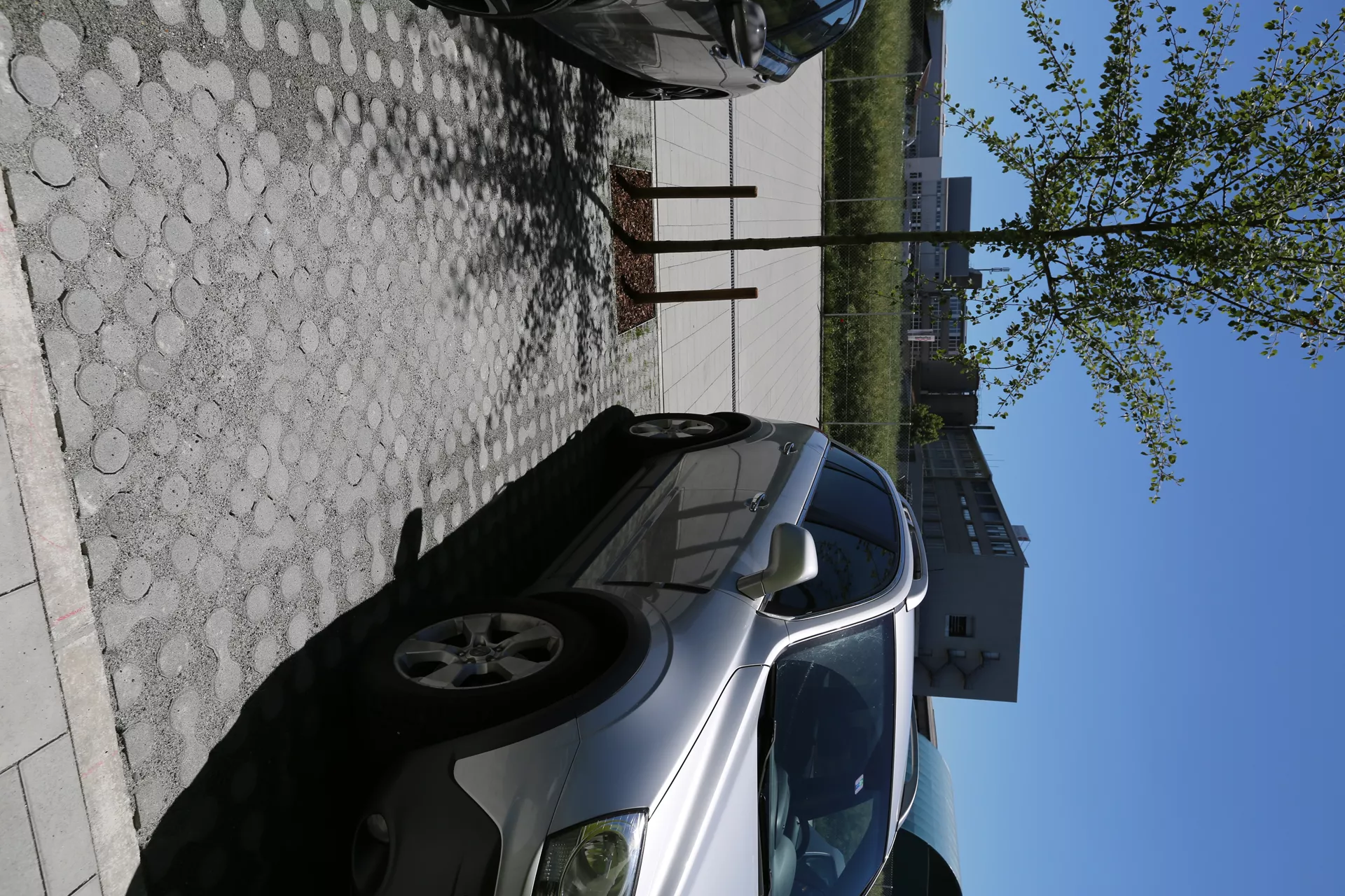 LUNIX Rasengitterstein grau glatt L 53.2 cm 39.9 cm H 12 cm