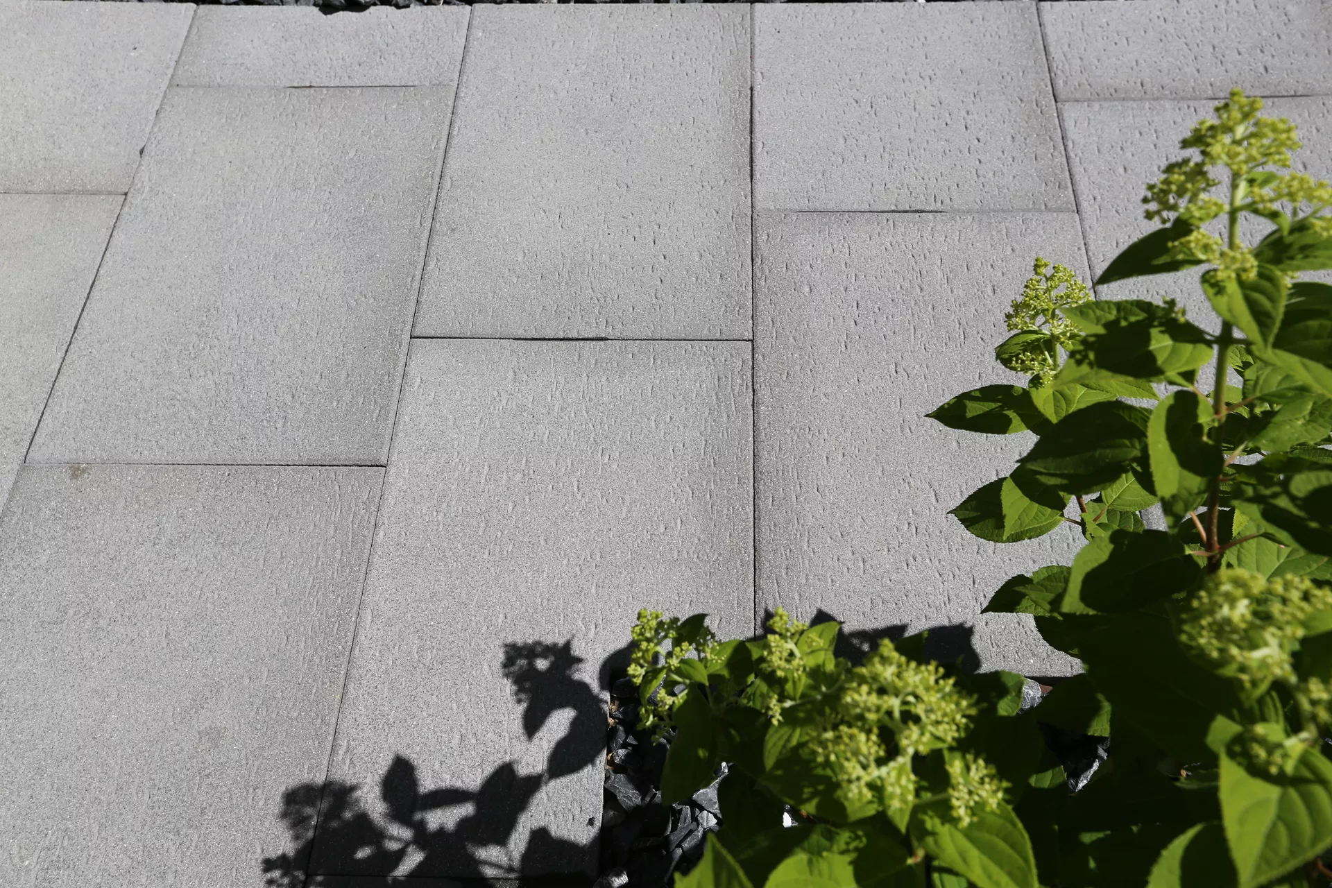 STRUKTURA Gehwegplatte mit Travertinstruktur anthrazit strukturiert gestrahlt gefast L 60 cm B 40 cm H 4 cm