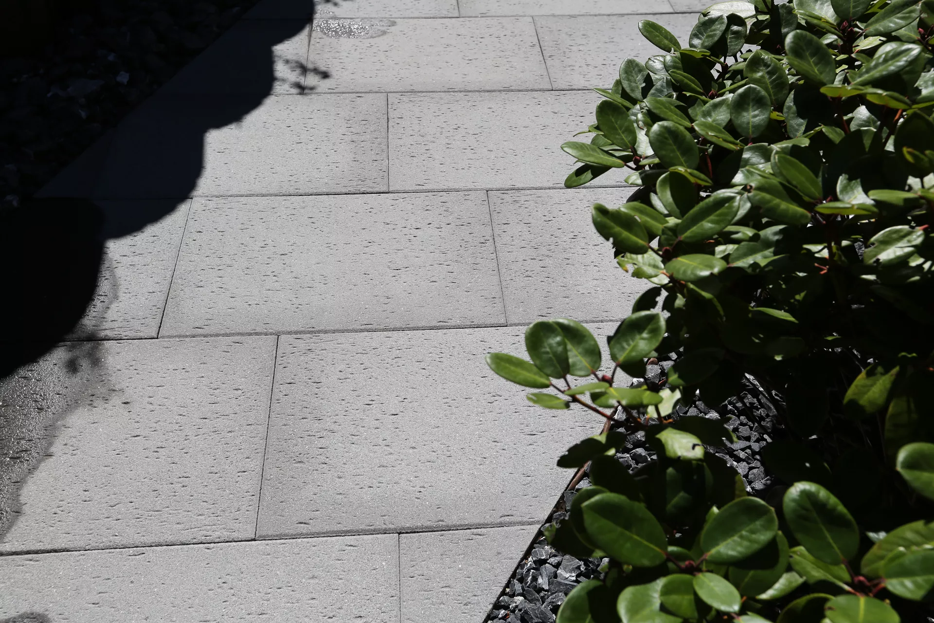 STRUKTURA Gehwegplatte mit Travertinstruktur anthrazit strukturiert gestrahlt gefast L 60 cm B 40 cm H 4 cm